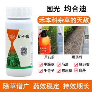 国光均合迪除草剂苗木花海麦冬三叶草牛筋马唐稗草早熟禾尖叶杂草