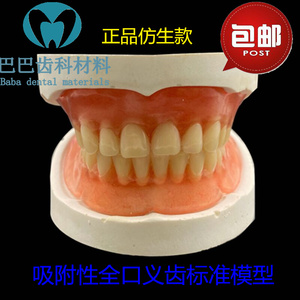 牙科全口义齿模型吸附性义齿标准红蜡片颌架合成树脂牙排牙模型