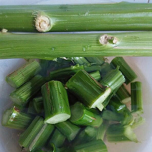绍兴嵊州特产新鲜苋菜梗4斤可做传统霉苋菜梗送老卤臭菜双臭豆腐