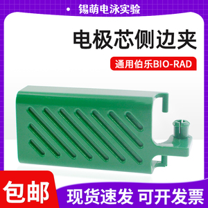 国产Bio-rad伯乐电极芯侧卡夹 绿色电转仪侧边夹 夹子10010745