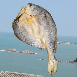 松门白鲞咸鱼干米鱼黄鱼鲞农家自制海鲜干货500g袋装海产腌制食材