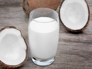 生榨冷冻椰子汁生椰乳拿铁零糖椰子浆咖啡餐饮奶茶店原料包邮椰萃