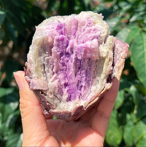 冰淇淋番薯广东茂名现挖5斤约15根一点红番薯紫心薯软糯香甜早餐