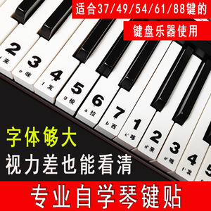 49键54键61键中文自学儿童成人电子琴手卷琴大字音标贴简谱键位贴