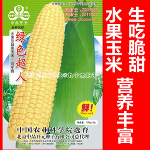 水果玉米种子绿色超人生吃鲜食超甜种籽甜糯四季高产杂交大田种孑