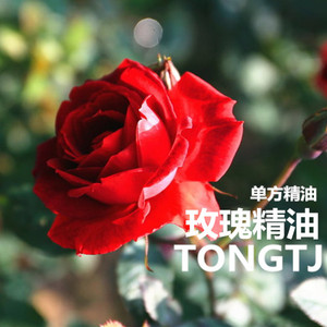 【玫瑰精油】娜娜妈&童童家联合店 单方摩洛哥玫瑰精油精油 30ml