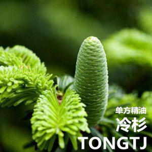 【冷杉精油】娜娜妈&童童家联合店 植物单方 欧洲冷杉精油 30ml