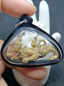 古巴磐石食人虎