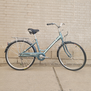 健牌自行车单车