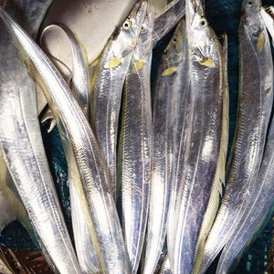 【拍5份送1份】黄金带鱼新鲜活冻野生黄边带鱼段冰鲜冷冻刀鱼海鲜