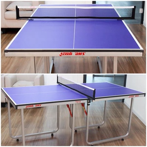【宏图】红双喜t919乒乓球台迷你小型家用儿童娱乐乒乓球桌折叠