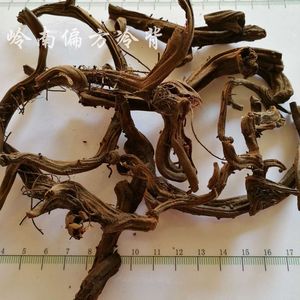 冷背药材,散血莲,huo血莲,红穿山龙,裸子蕨科植物500克