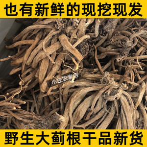 野生新鲜大蓟根干 虎蓟 刺蓟 大蓟根输卵管不通 通而不畅_阿里巴巴找