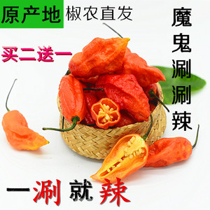 云南德宏新鲜涮涮辣正宗印度魔鬼辣椒现摘特辣变态辣调料可做种子