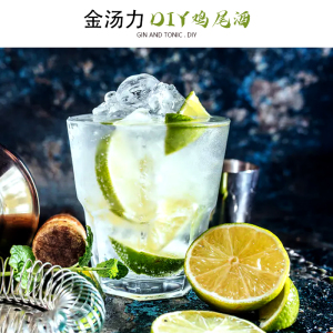 gin and tonic进口洋酒金汤力酒金汤力水套装基酒调酒赠酒具