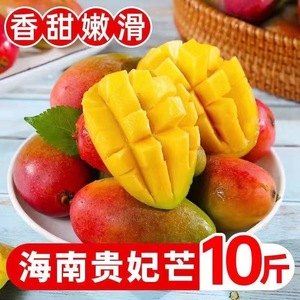 海南贵妃芒果当季新鲜水果红金龙小芒果10斤现摘甜心热带当季大果