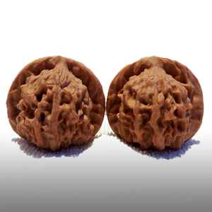 20年文玩麻核桃手把玩件收藏雕刻异形38怀柔野生天地狮子头关公帽