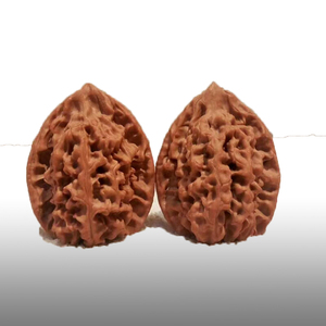 19年新品文玩核桃麻核桃手玩把玩收藏级手疗小众野生判官笔罗汉头