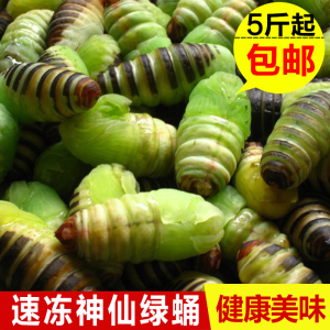 东北特产 嫩茧蛹 小神仙蚕蛹 糖宝 绿神仙茧蛹 绿蛹500g 5份包邮