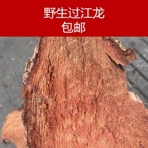 过岗龙片