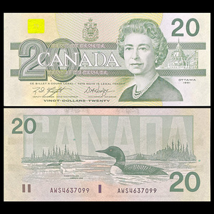 加拿大20元