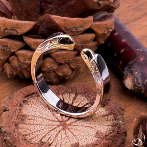 ken kikuchi 菊地健金嘴四目戒指 菊地建尾戒鹰戒