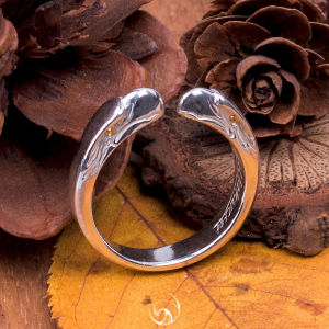 【在途】ken kikuchi 菊地健银嘴四目戒指 菊地建尾戒鹰戒