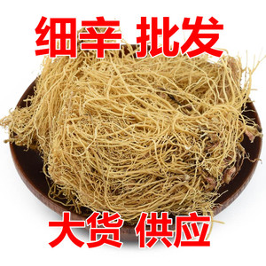 细辛中药材野生