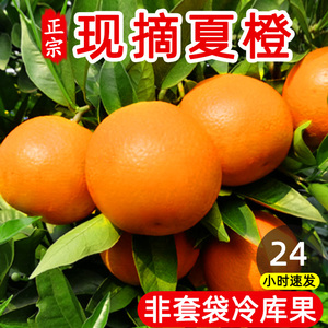 橙子广西桂林夏橙孕妇酸甜水果新鲜当季整箱10斤手剥橙榨汁橙