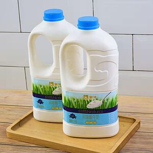 蒙牛酸奶大桶装原味酸奶原味低温牛奶1.1kg*1桶