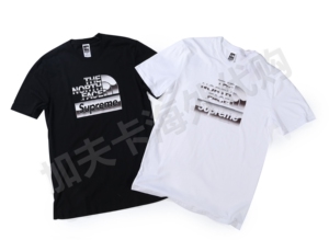 tb900030_12淘宝supreme tnf 18ss 北面联名 metallic 金属 金银铜