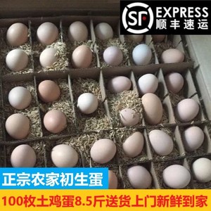 【杭州上海同城专享】100枚装初生蛋正宗农家纯散养笨鸡蛋草鸡蛋