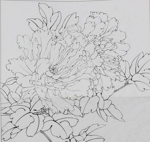 原大版 牡丹小品工笔初学者 国画白描底稿画稿8开 4开