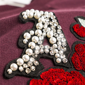 欧单 贴布钉珠刺绣花圆领套头无帽卫衣春装休闲薄外套女上衣114e