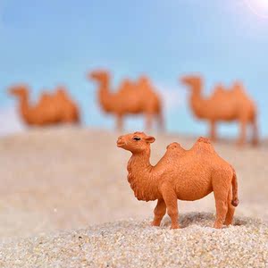 微景观摄影手工造景小动物创意塑料工艺品摆设可爱沙漠骆驼小摆件