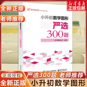 小升初数学图形严选300题 小学六年级数学专项训练小升初衔接教材 小升初数学考试解题方法技巧大全书籍小学生毕业考试数学复习