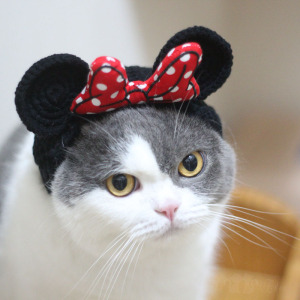 手工原创猫咪米奇帽子头饰可爱卡通搞笑宠物变身装扮头套毛线编织