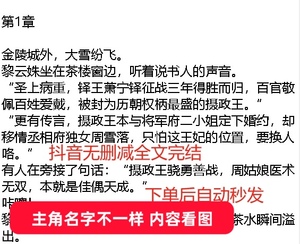 完结 谢汐羽魏容爵/全潇芷梁煜爵/明灵薇殷松南小说 金陵城外大雪