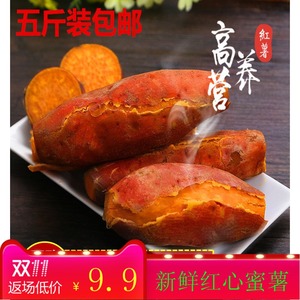 四川新鲜红薯烤地瓜非板栗香番薯山芋黄皮红皮红黄心5斤装包邮