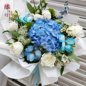 蓝色绣球郁金香接机应援鲜花花束清新蓝白色系送朋友同事南京广州
