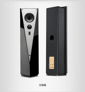 惠威t900hivit900f主音响家庭影院2.0声道落地式主音箱hifi高保真