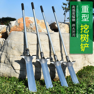 挖树铲子锰钢加厚铁锹农用园林洛阳户外起苗神器挖土树根专用工具