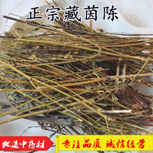 藏茵陈中药材 250克包邮 西藏天然藏菌陈茶 正品 草茶肝胆