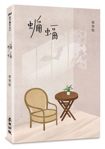 蔡智恒的小说