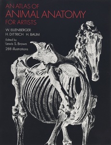 预售 An Atlas of Animal Anatomy for Artists 进口艺术 动物解剖图谱 动物绘画技巧参考书【中商原版】