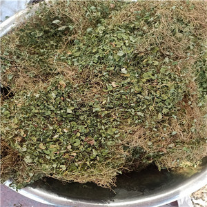 金钱草正宗温州雁荡山小叶金钱草干溶石中药材结石马蹄金500g包邮