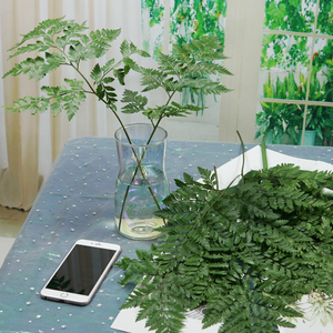 天然干花植物永生花高山羊齿蕨叶子插花设计花艺材料婚庆橱窗装饰