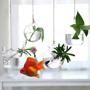 悬挂式花盆水培植物玻璃瓶绿萝大口吊瓶养鱼鱼缸花瓶花架阳台装饰
