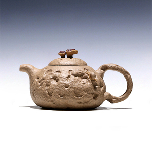 宜兴原矿紫砂壶家用纯全手工茶壶仿生器陈付云段泥灵芝供春260cc