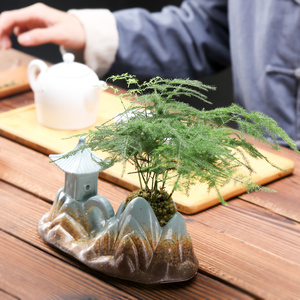 云竹花盆